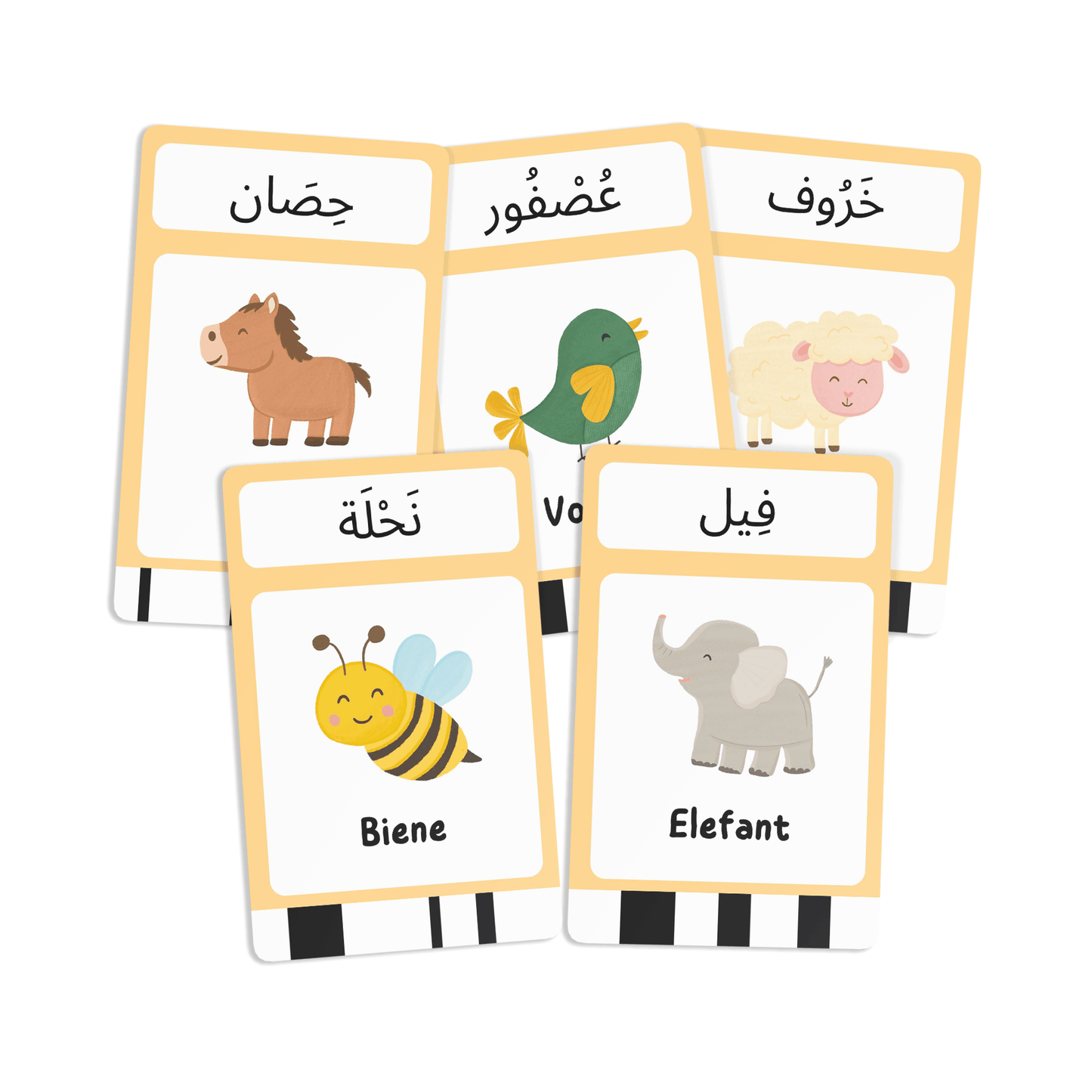 Flashcards "Arabische Vokabeln"